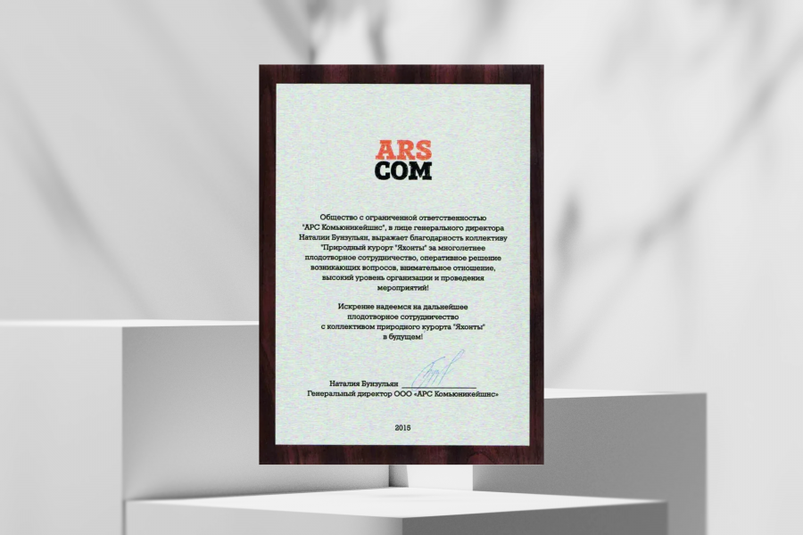 Благодарность за высокий уровень организации мероприятий