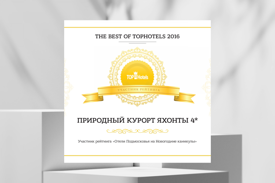 Отели Подмосковья на Новогодние каникулы